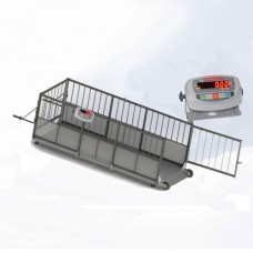 Весы АКСИС для свиней 4BDU600Х-0820-Э Элит